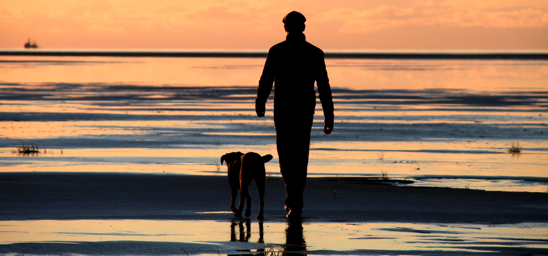 Hundeschule Kiel am Strand